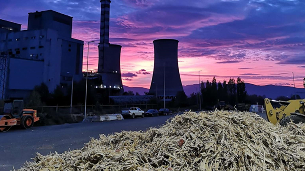 Greece - Torrefied biomass production